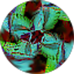 Profile photo of Taylor Mills