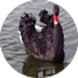 Profile photo of Skip Garrett