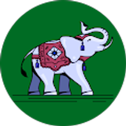 Profile photo of Manvi Patel