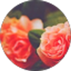 Profile photo of Natalie Wise