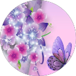 Profile photo of Socorro Garcia