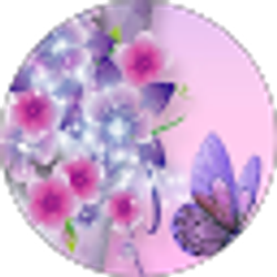 Profile photo of Socorro Garcia