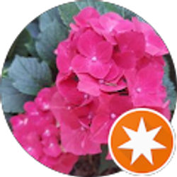 Profile photo of Kay Martz