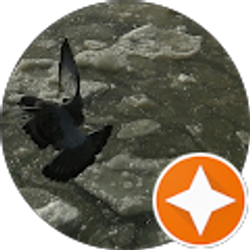 Profile photo of Jayjaymom