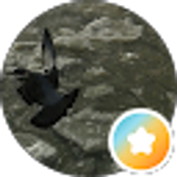 Profile photo of Jayjaymom