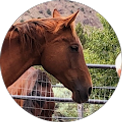 Profile photo of Becky Gossett