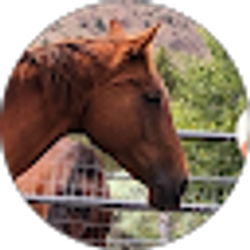 Profile photo of Becky Gossett