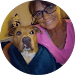 Profile photo of Kamran K. Kreger