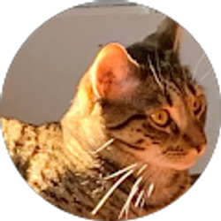 Profile photo of Greta Boers