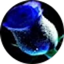 Profile photo of Svetlana Grinman