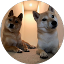 Profile photo of Tyler Owens