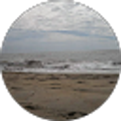 Profile photo of marilyn wonders-sanzi