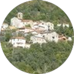 Profile photo of Christine Master