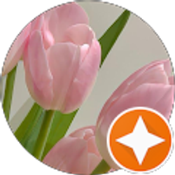 Profile photo of Veronica Castillo