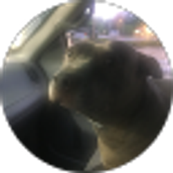Profile photo of Albo 24