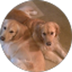 Profile photo of CJ POPP