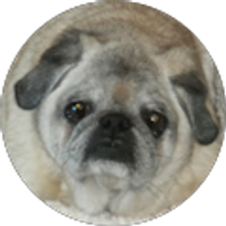 Profile photo of Mary Sutton