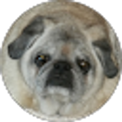 Profile photo of Mary Sutton