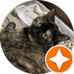 Profile photo of Jonathan Caples (Jon)