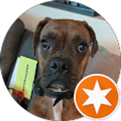 Profile photo of Hollie