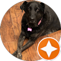 Profile photo of Jimmy Ward