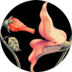 Profile photo of Morgan Davis