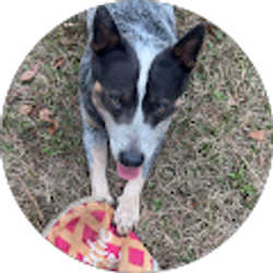 Profile photo of Evan Dahlheimer