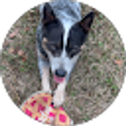 Profile photo of Evan Dahlheimer