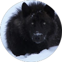 Profile photo of Jack Delgado