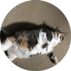 Profile photo of Keith Johnson