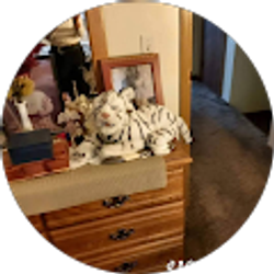 Profile photo of Jedonne Abston