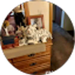 Profile photo of Jedonne Abston