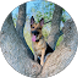 Profile photo of Christopher
