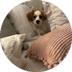 Profile photo of Cheryl Nixon