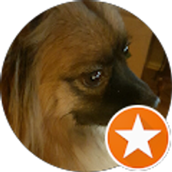 Profile photo of Kathy Stratton