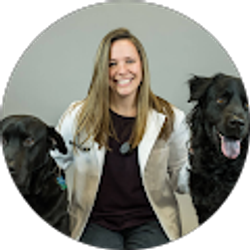 Profile photo of Meagan Bellemore