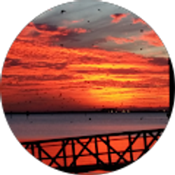 Profile photo of kim f