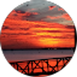 Profile photo of kim f