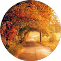 Profile photo of Sheila Hartleroad