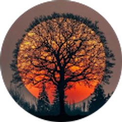 Profile photo of Maggie Gockman