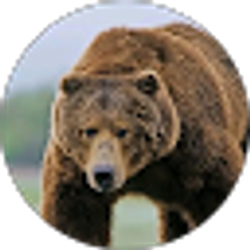 Profile photo of Brayden Cartwright