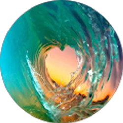 Profile photo of Kelly Barriga