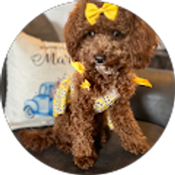 Profile photo of Jessica Mercado