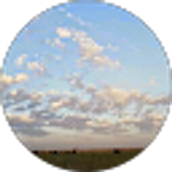 Profile photo of Debbie Whinery