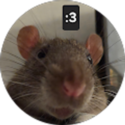 Profile photo of Min PDY (PimPinPom)