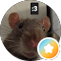 Profile photo of Min PDY (PimPinPom)