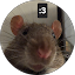 Profile photo of Min PDY (PimPinPom)