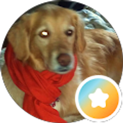 Profile photo of Dinah Peddicord