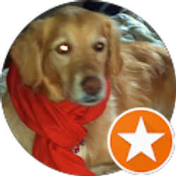 Profile photo of Dinah Peddicord