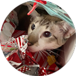 Profile photo of Laura Kuntz (Butterflies)